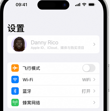 工布江达appleID维修服务iPhone设置中Apple ID显示为灰色无法使用 