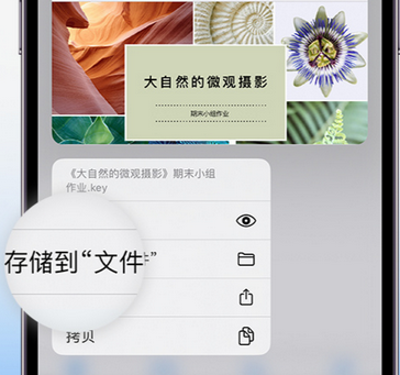 工布江达apple维修中心分享iPhone文件应用中存储和找到下载文件