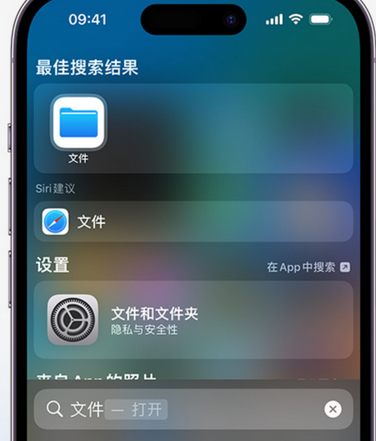 工布江达apple维修中心分享iPhone文件应用中存储和找到下载文件 