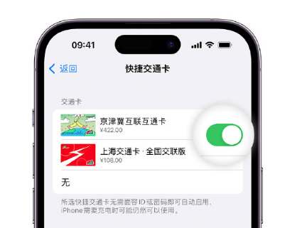 工布江达apple维修点分享iPhone上更换Apple Pay快捷交通卡手绘卡面 