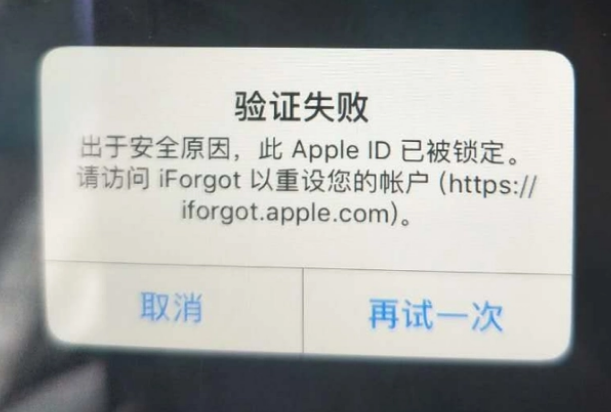 工布江达iPhone维修分享iPhone上正常登录或使用AppleID怎么办 