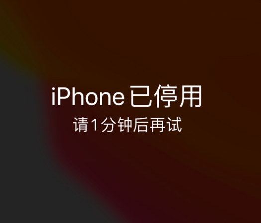 工布江达苹果手机维修分享:iPhone 显示“不可用”或“已停用”怎么办？还能保留数据吗？ 