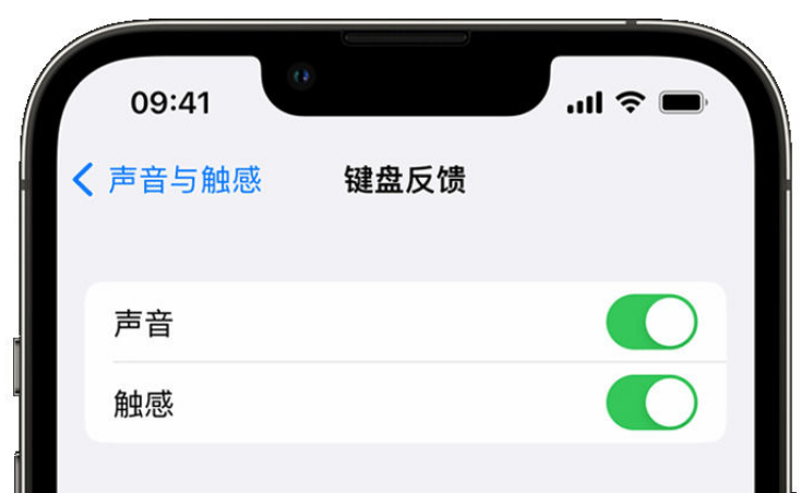 工布江达苹果手机维修分享iPhone 14触感键盘使用方法 