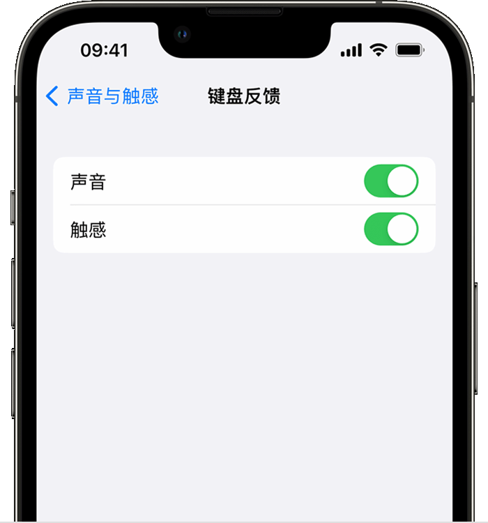 工布江达苹果14维修店分享如何在 iPhone 14 机型中使用触感键盘 