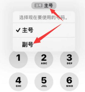 工布江达苹果14维修店分享iPhone 14 Pro Max使用副卡打电话的方法 