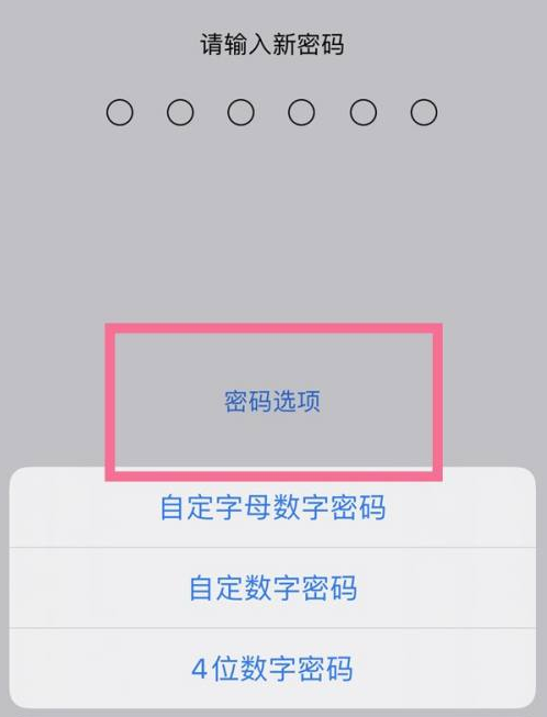 工布江达苹果14维修分享iPhone 14plus设置密码的方法 