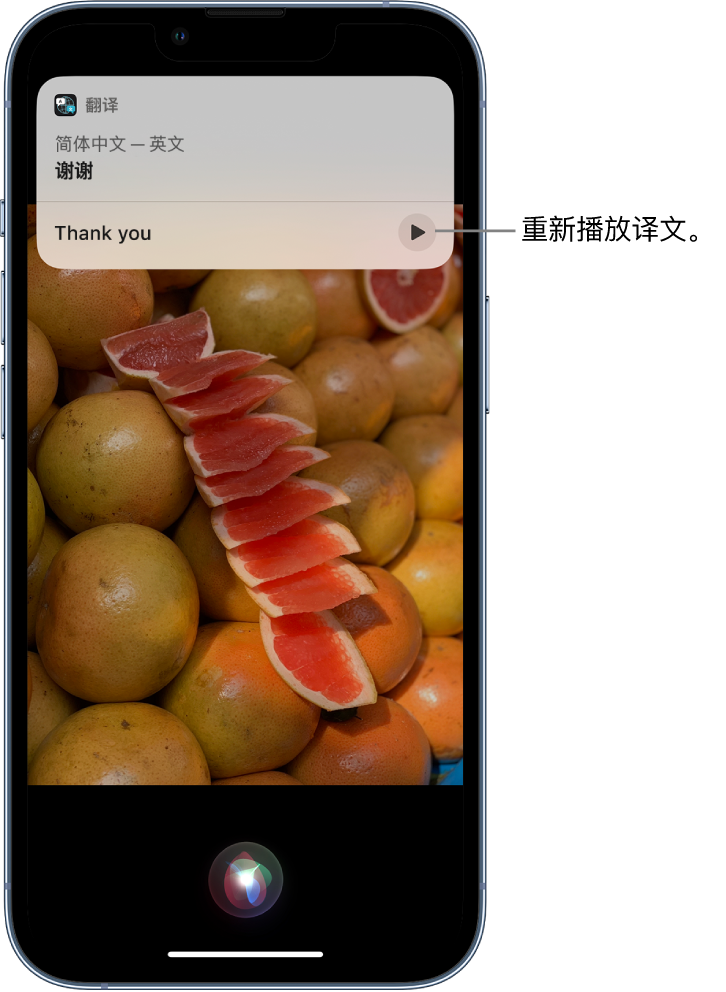 工布江达苹果14维修分享 iPhone 14 机型中使用 Siri：了解 Siri 能帮你做什么 