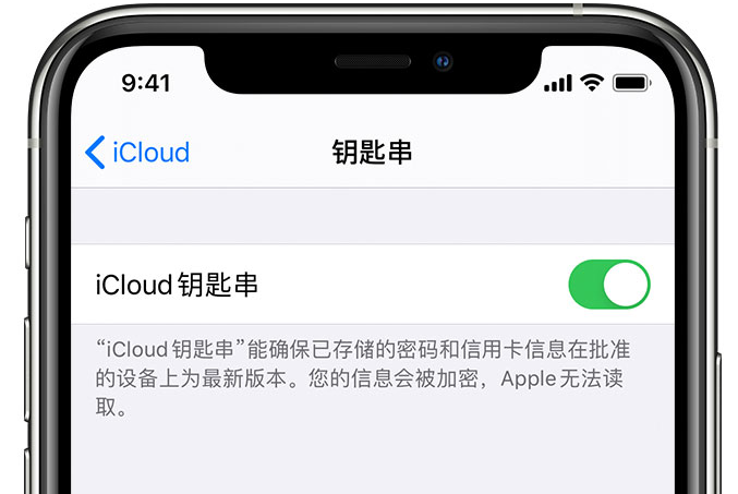 工布江达苹果手机维修分享在 iPhone 上开启 iCloud 钥匙串之后会储存哪些信息 